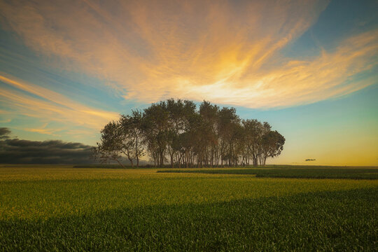 sunset over the field