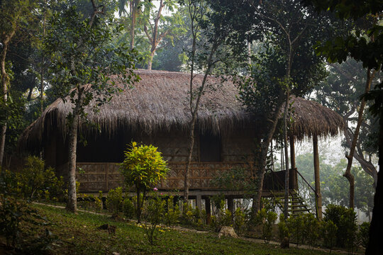 old house in the forest