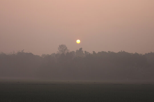 Sunrise in the fog