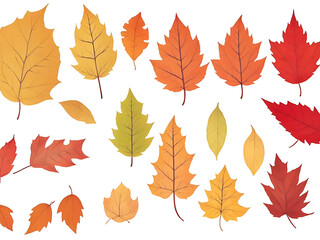 Autumn leaves set, isolated on white background.