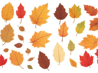 Fototapeta premium Autumn leaves set, isolated on white background.