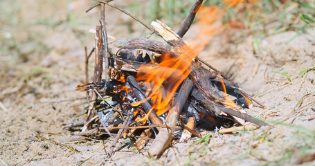 Small fire on the sand, burning pine branches. Close-up, day time. Concept of picnic in nature, relaxing on the beach.