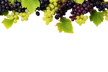 Green and Black juicy grapes on white background
