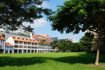 Clear view  public housing on bright sunny day, with lush green public park in Singapore