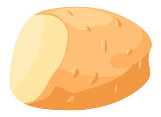 Whole potato cut for cooking, preparing dishes