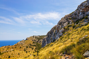 Mallorca Landscapes - mountainous Collection