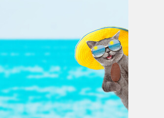 Fototapeta premium Funny cat wearing mirrored sunglasses and summer hat holds ice cream and looks from behind empty white banner. isolated on white background