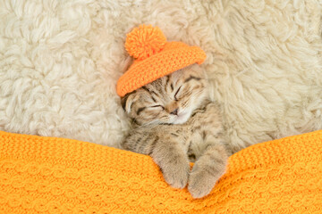 Cozy kitten wearing warm hat sleeps under blue blanket on a bed at home. Top down view