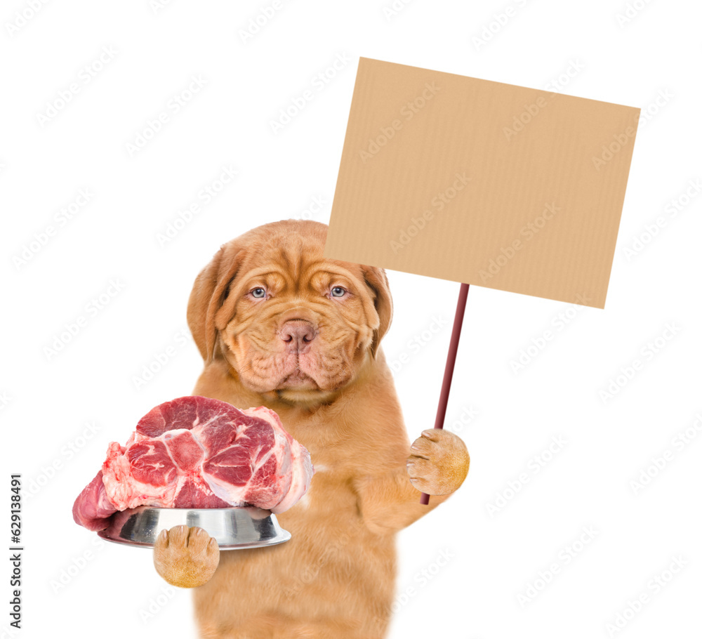 Aufkleber serious puppy holds bowl of raw meat and empty placard. isolated on white background