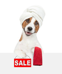 Funny Jack russell terrier puppy with towel on it head shows signboard with labeled "sale" above empty white banner. isolated on white background