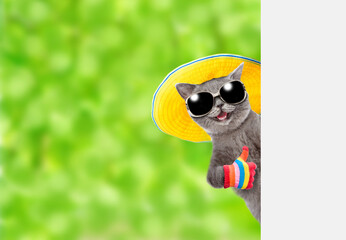 Happy cat wearing sunglasses and summer hat looks from behind empty white banner and shows thumbs up gesture. isolated on white background