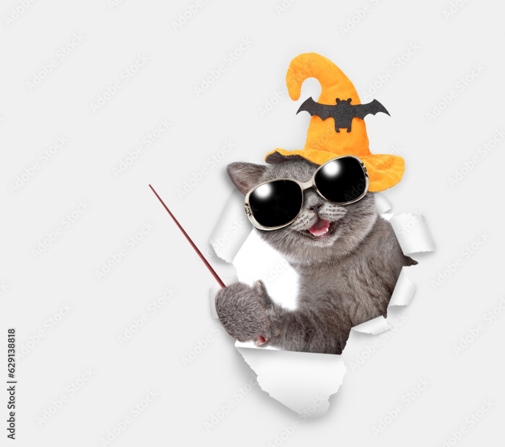 Aufkleber happy cat wearing sunglasses and hat for halloween looks through a hole in white paper and points aw