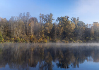 Trees and fog in the morning in autumn