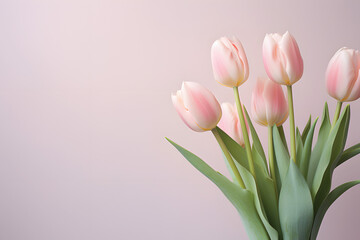 Fototapeta premium Natural bouquet of spring tulips. Pink tulips on a plain background.GenerativeAI.