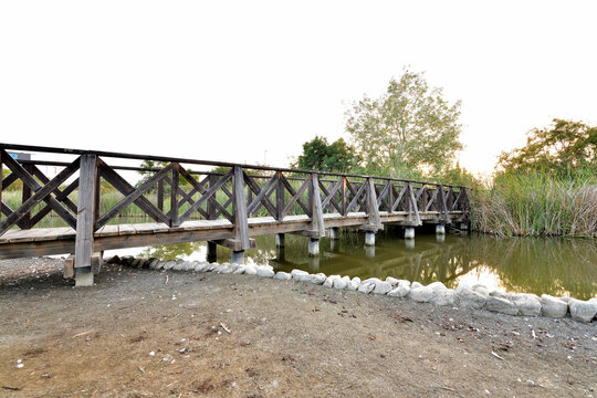 puente de madera natural sobre un arrollo estancado 