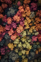 'Autumn trees seen from above, a colorful aerial painting.' (Generative AI)