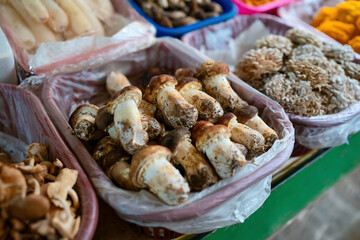 Mushrooms matsutake in the farmer's market in Yunnan, China.