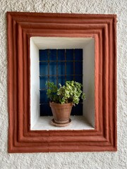 Fototapeta na wymiar Southern window dummy in 3D view with colours typical for the country and a plant