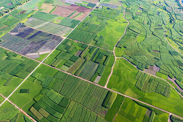 Obraz premium Farmland and fields in Yunnan, China.