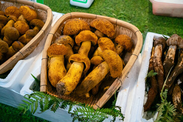 Mushrooms porcini in the farmer's market in Yunnan, China.