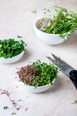 Sliced sprouts in an assortment of microgreens on a light background. White bowls with a variety of microgreens.