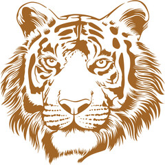 head of a Wise Tiger Vector Art Illustration Printable 