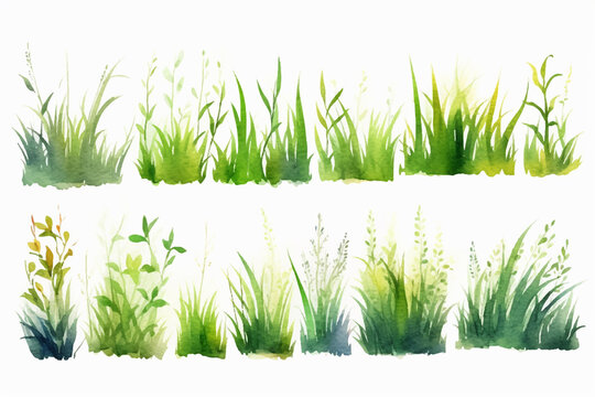 Set of Watercolor green lush grass for spring or summer decoration. Tufts of fresh plants in close up isolated on white. Collection of ecology outdoor blade elements growing in garden or meadows