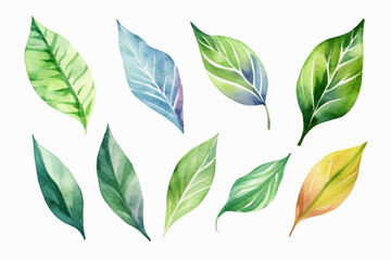 Watercolor Collection of Trendy Wedding Greenery Isolated on White Background. Modern Botanical Clipart: Eucalyptus, Italian Ruscus, Agonis, Privet Berry, Shepherd's Purse, Leather Leaf Fern.