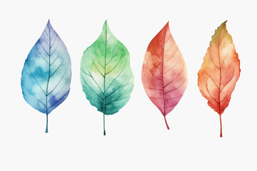 Watercolor Collection of Trendy Wedding Greenery Isolated on White Background. Modern Botanical Clipart: Eucalyptus, Italian Ruscus, Agonis, Privet Berry, Shepherd's Purse, Leather Leaf Fern.