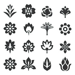 Flower icons set, Vector,Flowers icons flat monochromatic on flat white background , black and white