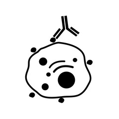 The specific antibody was binding the target cell via protein markers on the cell surface.