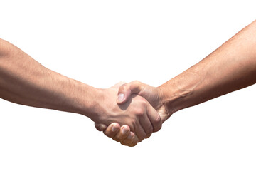handshake of men, grain deal, agreements, truce