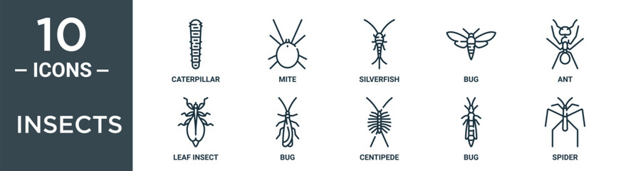 insects outline icon set includes thin line caterpillar, mite, silverfish, bug, ant, leaf insect, bug icons for report, presentation, diagram, web design