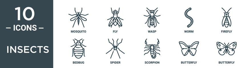 insects outline icon set includes thin line mosquito, fly, wasp, worm, firefly, bedbug, spider icons for report, presentation, diagram, web design