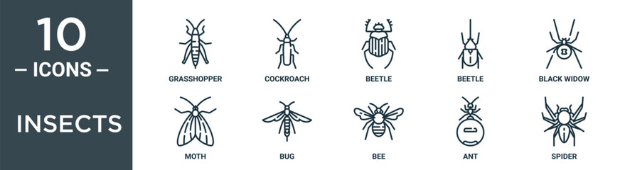 insects outline icon set includes thin line grasshopper, cockroach, beetle, beetle, black widow, moth, bug icons for report, presentation, diagram, web design
