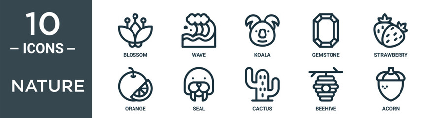 nature outline icon set includes thin line blossom, wave, koala, gemstone, strawberry, orange, seal icons for report, presentation, diagram, web design