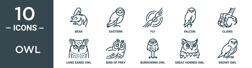 Obraz premium owl outline icon set includes thin line beak, eastern, fly, falcon, claws, long eared owl, bird of prey icons for report, presentation, diagram, web design