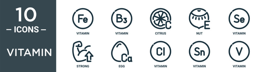 vitamin outline icon set includes thin line vitamin, vitamin, citrus, nut, strong, egg icons for report, presentation, diagram, web design