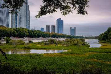 Obraz premium Ciudad y naturaleza