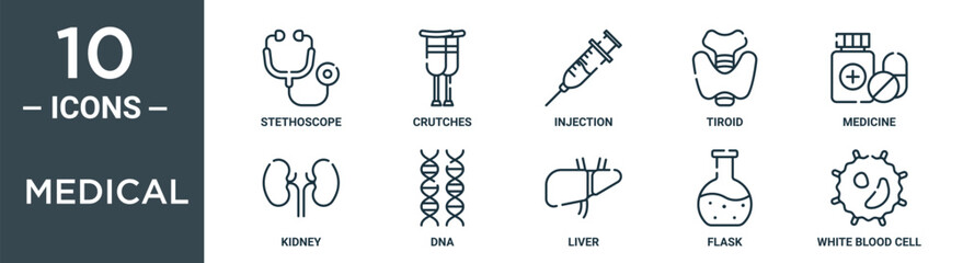 Obraz premium medical outline icon set includes thin line stethoscope, crutches, injection, tiroid, medicine, kidney, dna icons for report, presentation, diagram, web design