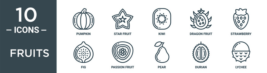 fruits outline icon set includes thin line pumpkin, star fruit, kiwi, dragon fruit, strawberry, fig, passion fruit icons for report, presentation, diagram, web design