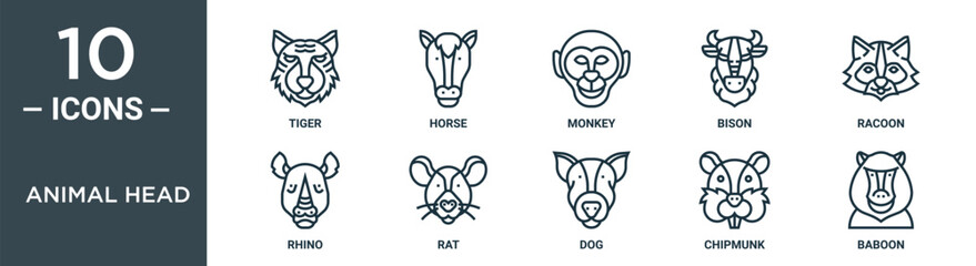 animal head outline icon set includes thin line tiger, horse, monkey, bison, racoon, rhino, rat icons for report, presentation, diagram, web design