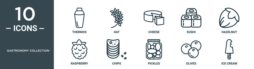 gastronomy collection outline icon set includes thin line thermos, oat, cheese, sushi, hazelnut, raspberry, chips icons for report, presentation, diagram, web design