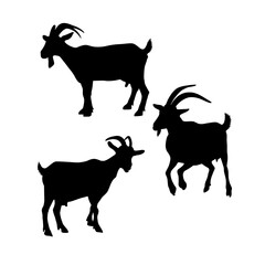 Black silhouette of a goat. Vector set of goats illustration. graphic elements of a goat on white background. black vector icon