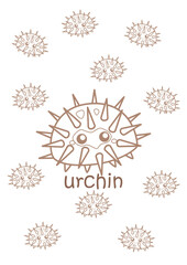 Alphabet U For Urchin Vocabulary School Cartoon Coloring Pages A4 for Kids and Adult Activity