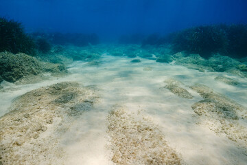 Naklejka na ściany i meble Sandy bottom of sea with corals