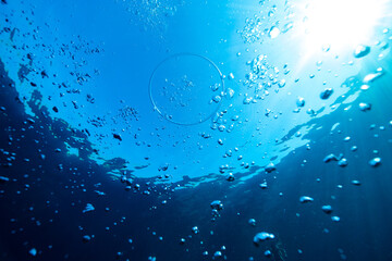 Bubbles and vortex ring undersea in sunlight