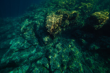 Fototapeta na wymiar Sea bottom with coral reefs in daytime