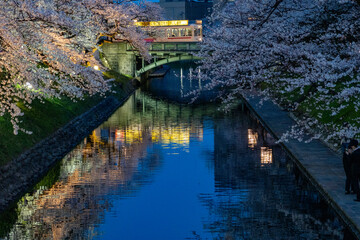 Naklejka premium 富山市中心部・松川ベリの夜桜
