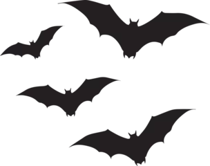 Foto op Canvas halloween bat and bats © Pixzot